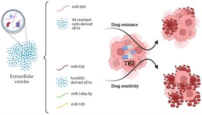 Extracellular vesicles in the Chronic Myeloid Leukemia scenario: an update about the shuttling of disease markers and therapeutic molecules